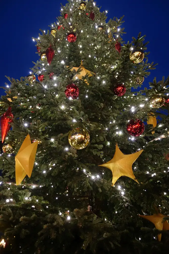 デュッセルドルフのクリスマスマーケットに飾られたツリー